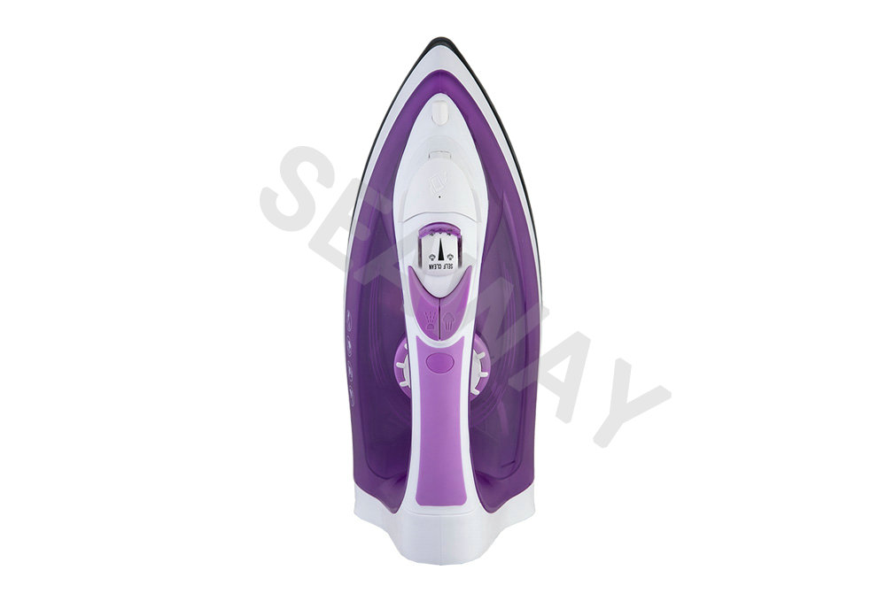 SW-2788B 110/240V Buharlı Ütü ile kablosuz